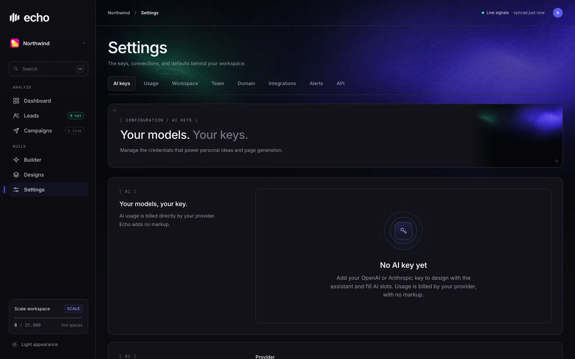 AI keys settings